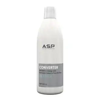 ASP Converter